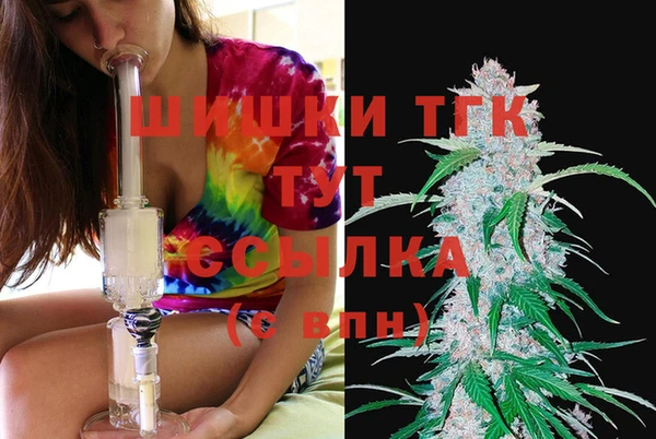 прущий лед Инсар