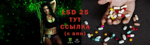 прущий лед Инсар