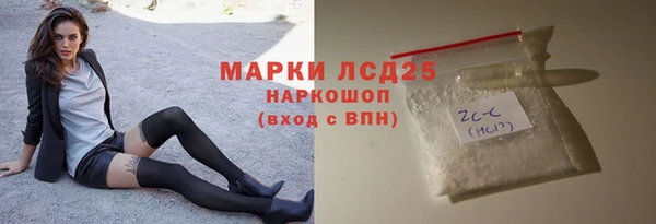 прущий лед Инсар