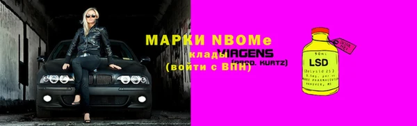 прущий лед Инсар